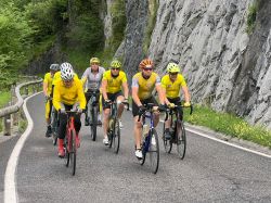 85100668-547b-4856-8b5a-0754eaedb764