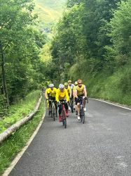 957ad5e3-17c9-4c07-bad9-4c8d5b7082ed