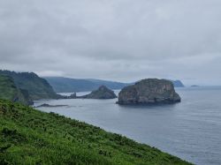 faa31d1b-33da-41e9-9b79-88f4df7b3238